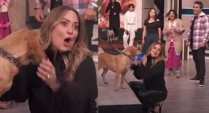 "Pobres chistes": Andrea Legarreta y fans de 'Hoy' destrozan a actriz de Televisa por cruel chiste