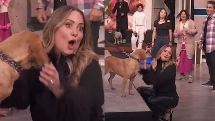 "Pobres chistes": Andrea Legarreta y fans de 'Hoy' destrozan a actriz de Televisa por cruel chiste