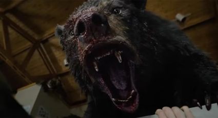 Mira el nuevo avance de 'Cocaine Bear' que muestra las diferencias que tiene con un oso normal