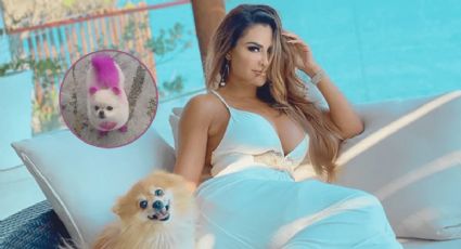 ¿Ninel Conde maltrata a sus mascotas? Así respondió a las críticas que ha recibido