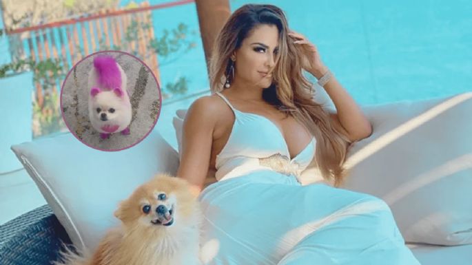 (Foto) Ninel Conde no toma en cuenta las críticas y pinta a su perro de morado