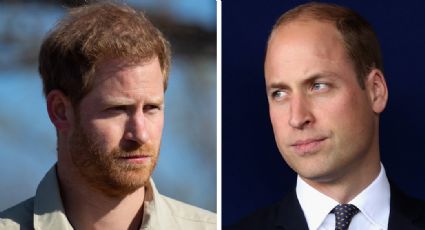 William y Harry estarán “separados” en la coronación del Rey Carlos III para evitar dramas