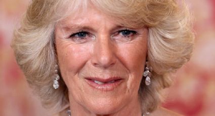 Camilla rompe el silencio luego de tremendas declaraciones del príncipe Harry