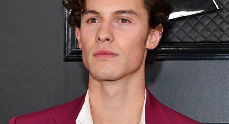 Shawn Mendes se corta su larga cabellera y sorprende con el cambio