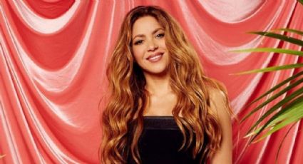 Exempleado de Shakira revela malos tratos de la cantante y su hermano Tonino Mebarak a trabajadores