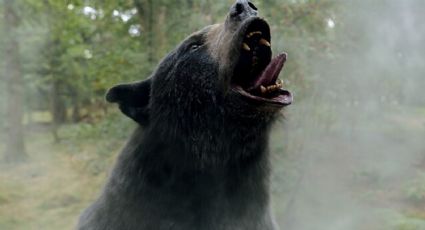 'Cocaine Bear' te invita a ser un oso y cazar humanos en un mini juego para promocionar la película