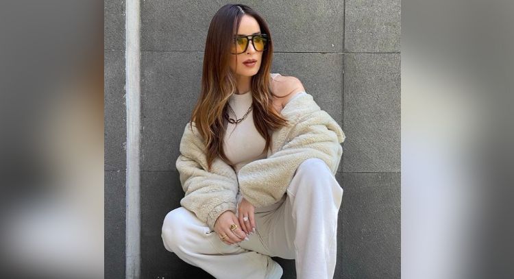 FOTO: Cynthia Rodríguez posa con coqueto conjunto café en Instagram y enamora a todo TV Azteca