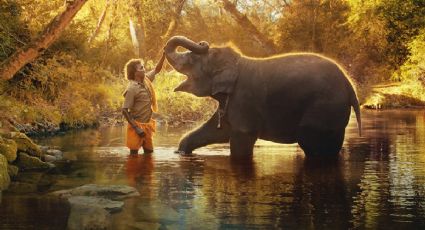 'Nuestro bebé elefante', estos son algunos datos importantes sobre el corto de Netflix