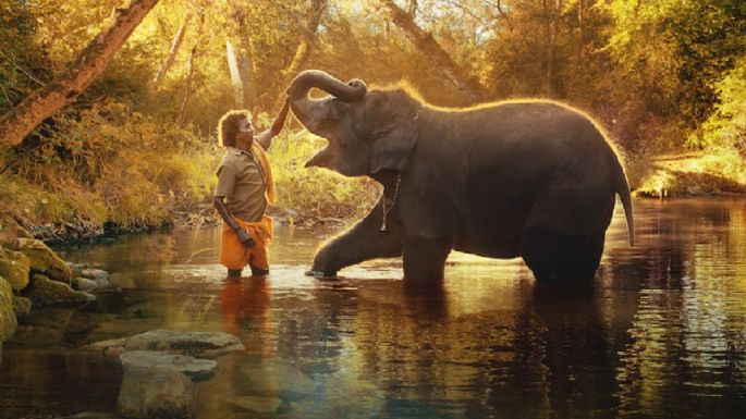 'Nuestro bebé elefante', estos son algunos datos importantes sobre el corto de Netflix