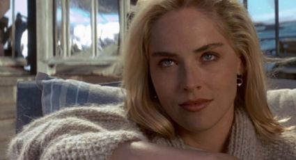 Sharon Stone revela que perdió la mayor parte de su dinero debido a este "fracaso catastrófico"