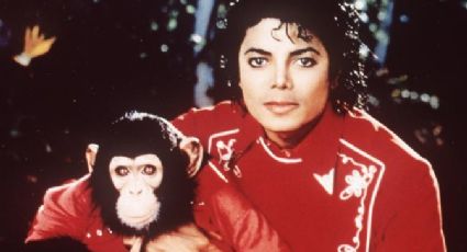 Felicidades: Festejan el 40 cumpleaños de Bubbles, el querido chimpancé mascota de Michael Jackson