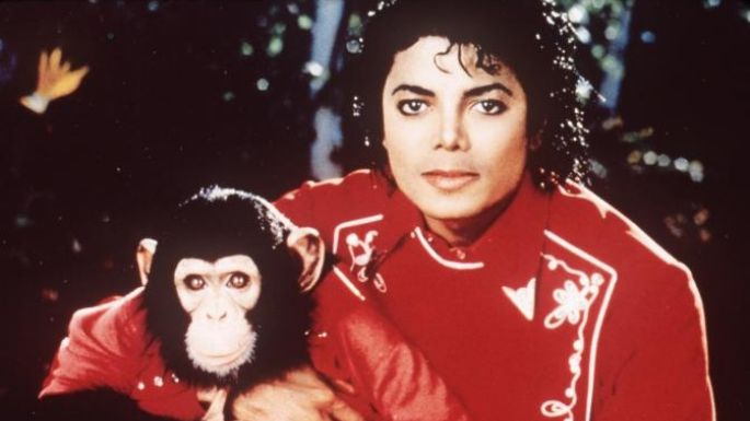 Felicidades: Festejan el 40 cumpleaños de Bubbles, el querido chimpancé mascota de Michael Jackson