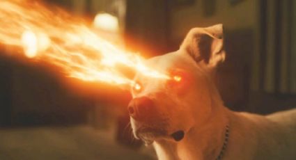 James Gunn quiere incluir a 'Krypto' el Superperro en su próxima cinta 'Superman: Legacy' de DC