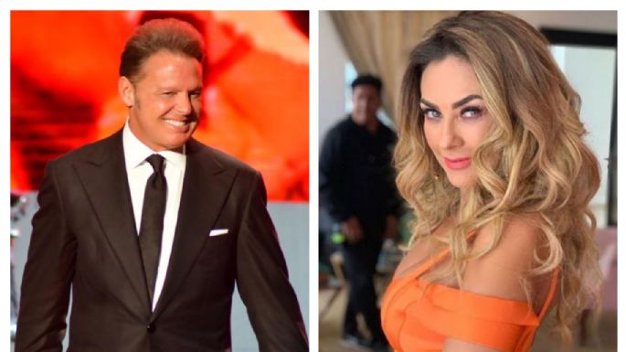 Acuerdo fuera de tribunales: Aracely Arámbula y Luis Miguel resuelven disputa de manutención